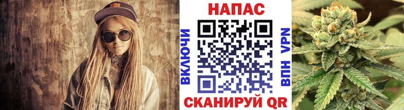  Кокаин Сунжа