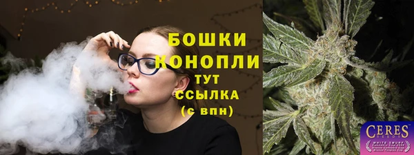прущий лед Арсеньев