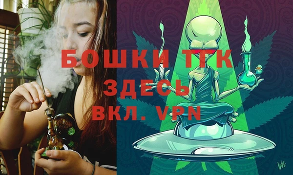 PSILOCYBIN Армянск