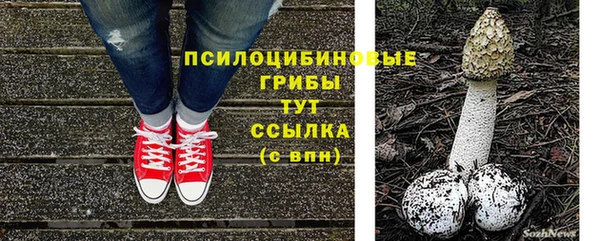 PSILOCYBIN Армянск