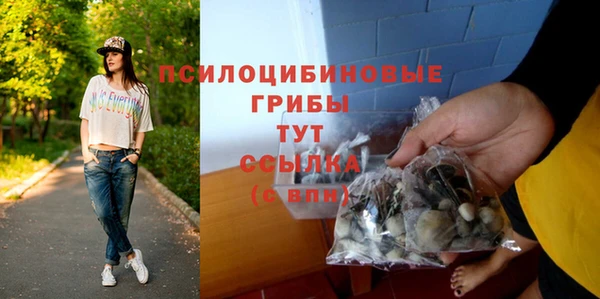 прущий лед Арсеньев