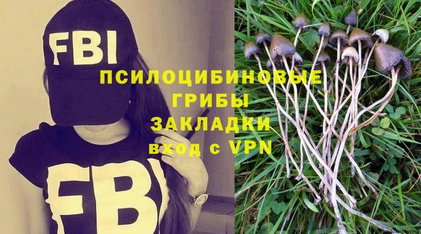 прущий лед Арсеньев